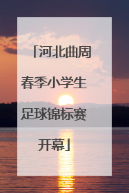 河北曲周春季小学生足球锦标赛开幕