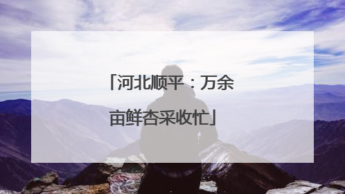 河北顺平：万余亩鲜杏采收忙