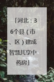 河北：36个县（市、区）建成智慧共享中药房