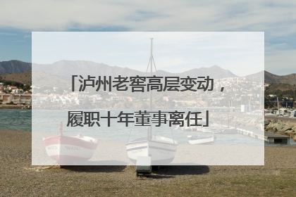 泸州老窖高层变动，履职十年董事离任