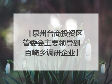 泉州台商投资区管委会主要领导到百崎乡调研企业