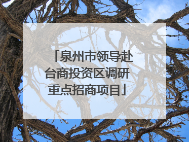 泉州市领导赴台商投资区调研重点招商项目