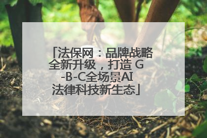 法保网：品牌战略全新升级，打造 G-B-C全场景AI法律科技新生态
