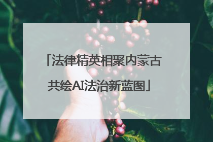 法律精英相聚内蒙古 共绘AI法治新蓝图
