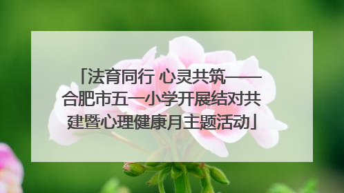 法育同行 心灵共筑——合肥市五一小学开展结对共建暨心理健康月主题活动