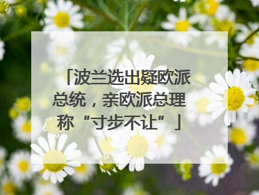 波兰选出疑欧派总统，亲欧派总理称“寸步不让”