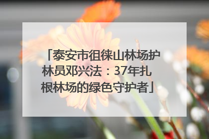 泰安市徂徕山林场护林员邓兴法：37年扎根林场的绿色守护者