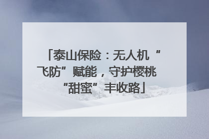泰山保险：无人机“飞防”赋能，守护樱桃“甜蜜”丰收路