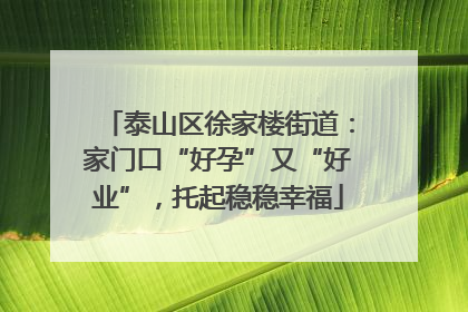 泰山区徐家楼街道：家门口“好孕”又“好业”，托起稳稳幸福