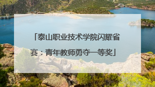 泰山职业技术学院闪耀省赛：青年教师勇夺一等奖