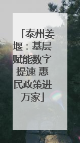 泰州姜堰：基层赋能数字提速 惠民政策进万家
