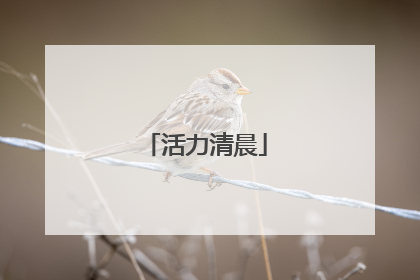活力清晨