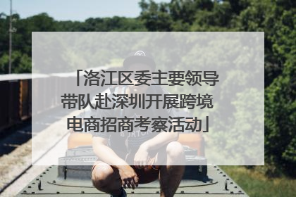 洛江区委主要领导带队赴深圳开展跨境电商招商考察活动