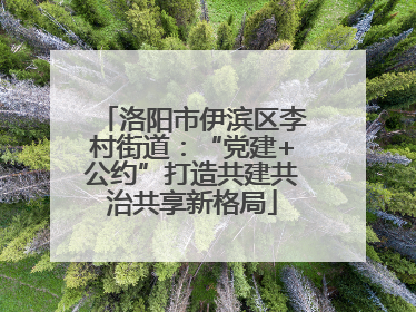 洛阳市伊滨区李村街道：“党建+公约”打造共建共治共享新格局