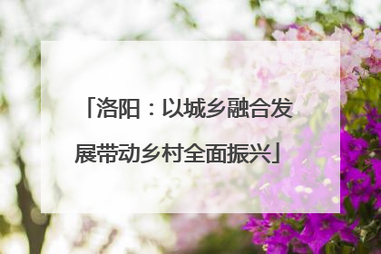 洛阳：以城乡融合发展带动乡村全面振兴