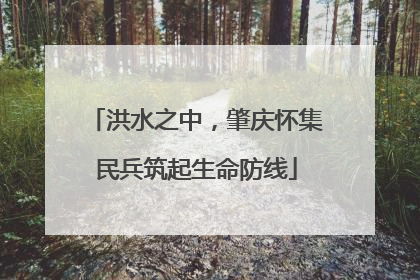洪水之中，肇庆怀集民兵筑起生命防线