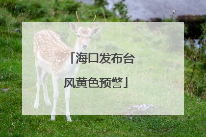 海口发布台风黄色预警