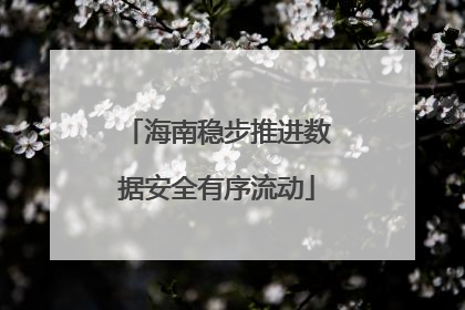 海南稳步推进数据安全有序流动