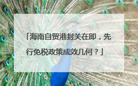 海南自贸港封关在即，先行免税政策成效几何？