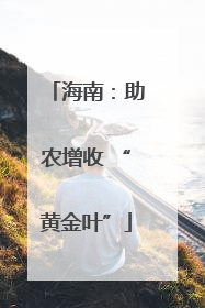 海南：助农增收 “黄金叶”