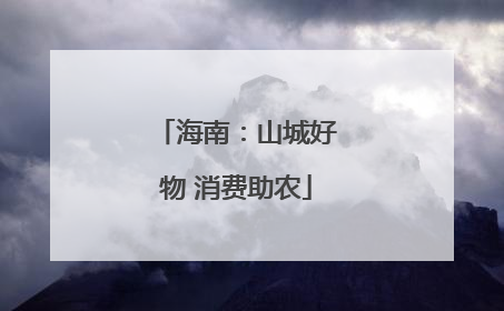 海南：山城好物 消费助农