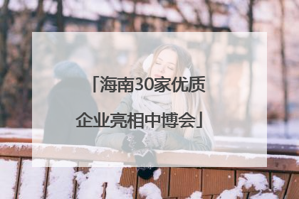 海南30家优质企业亮相中博会