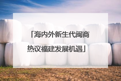 海内外新生代闽商热议福建发展机遇