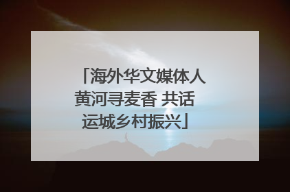海外华文媒体人黄河寻麦香 共话运城乡村振兴