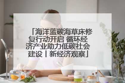 海洋蓝碳海草床修复行动开启 循环经济产业助力低碳社会建设丨新经济观察