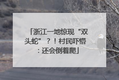 浙江一地惊现“双头蛇”？！村民吓懵：还会倒着爬