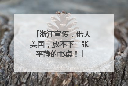 浙江宣传：偌大美国，放不下一张平静的书桌！