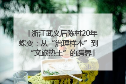 浙江武义后陈村20年蝶变：从“治理样本”到“文旅热土”的跨界