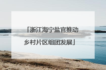 浙江海宁盐官推动乡村片区组团发展