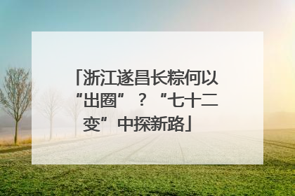 浙江遂昌长粽何以“出圈”？“七十二变”中探新路