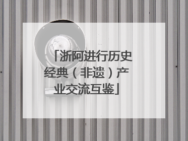 浙阿进行历史经典（非遗）产业交流互鉴