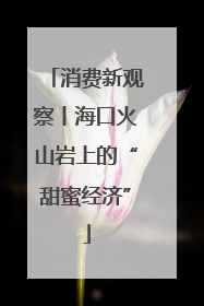 消费新观察丨海口火山岩上的“甜蜜经济”