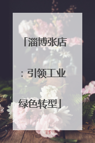 淄博张店：引领工业绿色转型