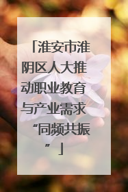 淮安市淮阴区人大推动职业教育与产业需求“同频共振”
