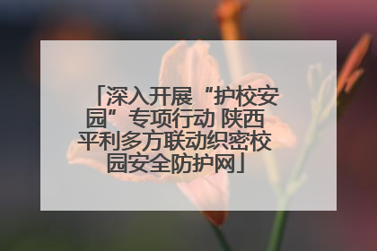 深入开展“护校安园”专项行动 陕西平利多方联动织密校园安全防护网