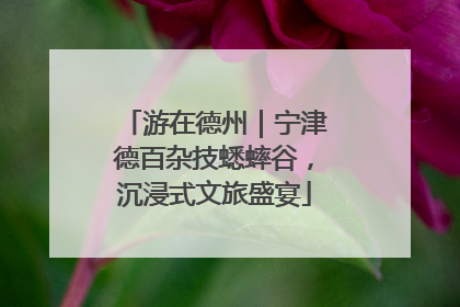 游在德州｜宁津德百杂技蟋蟀谷，沉浸式文旅盛宴