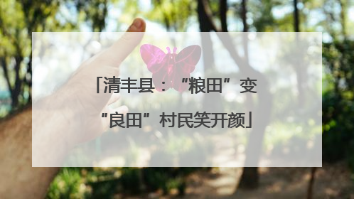 清丰县：“粮田”变“良田”村民笑开颜