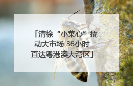 清徐“小菜心”撬动大市场 36小时直达粤港澳大湾区