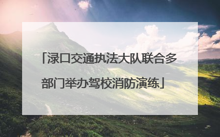 渌口交通执法大队联合多部门举办驾校消防演练