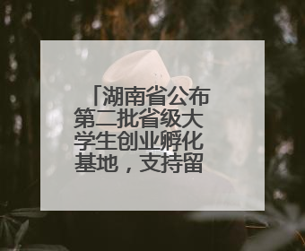 湖南省公布第二批省级大学生创业孵化基地，支持留湘来湘大学生创新创业