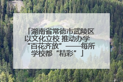湖南省常德市武陵区以文化立校 推动办学“百花齐放”——每所学校都“精彩”