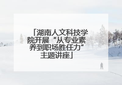湖南人文科技学院开展“从专业素养到职场胜任力”主题讲座