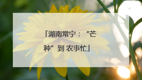 湖南常宁：“芒种”到 农事忙