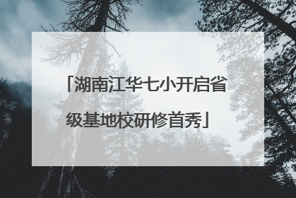 湖南江华七小开启省级基地校研修首秀
