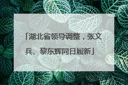 湖北省领导调整，张文兵、黎东辉同日履新