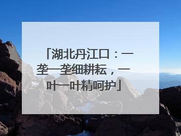 湖北丹江口：一垄一垄细耕耘，一叶一叶精呵护